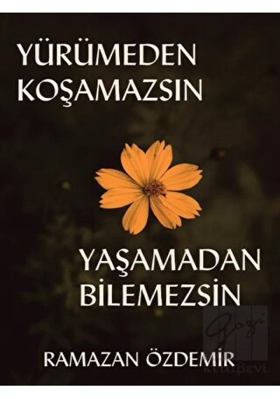 Yürümeden Koşamazsın Yaşamadan Bilemezsin Platanus Publishing - Platanus Publishing