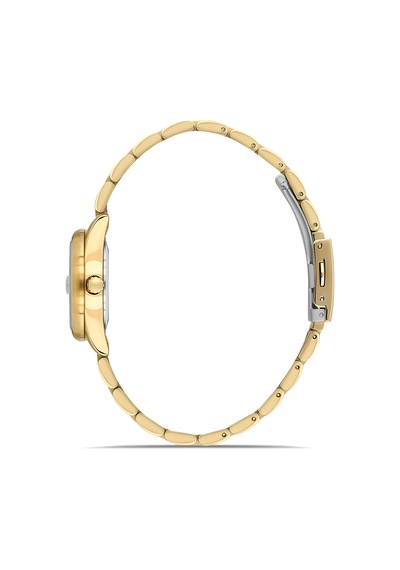 Ferro Fl21618awt-b6 Quartz Çelik Altın Rengi Yeşil Kadran 28 Mm Kadın Kol Saati Altın