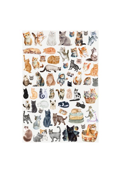 62 Adet Sevimli Kediler Sticker Seti - Etiket Seti Scrapbook Bullet Journal Çok Renkli