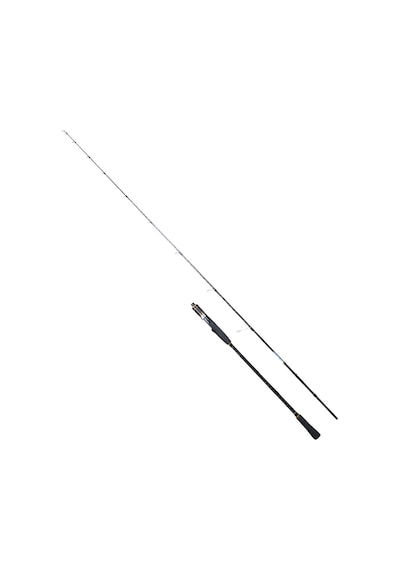 Ryuji Ocean Soul Fuji 180 Cm 80-300 Gr Slow Jig Kamış