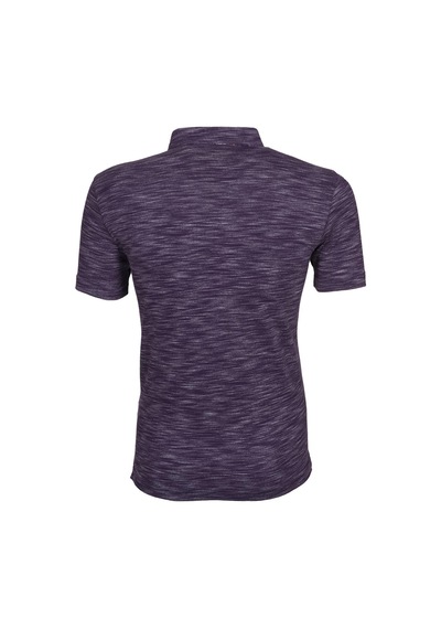 AR-MA Arma Erkek Regular Fit Polo Yaka Tişört Y9tyo7886 Mor