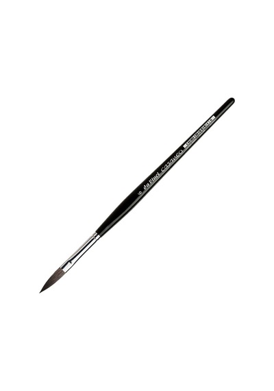 Da Vinci : Casaneo : Oval Uçlu Sulu Boya Fırçası : Seri 898 : No: 6