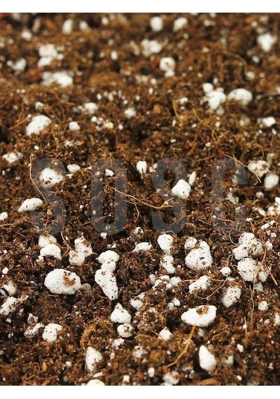 Substrat Lıght Mıx Ithal Sphangum Torfu Cocopeat Perlit Özel Karışım Saksı Harcı Çiçek Ve Bitki Toprağı 10 Lt 0