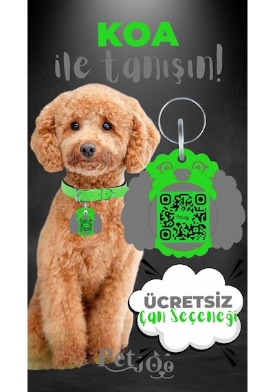 Petjoo 14.Koa Gri-Yeşil Qr'lı Köpek Künyesi