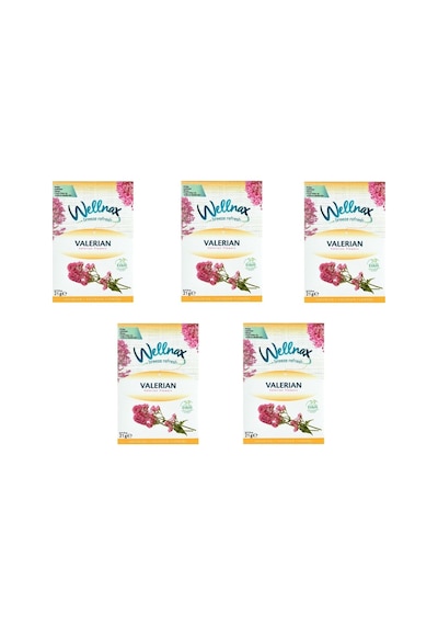 Wellnax Breeze Refresh Dolap Ve Çekmece Kokusu Valerian Çiçeği Kesesi 5 Adet