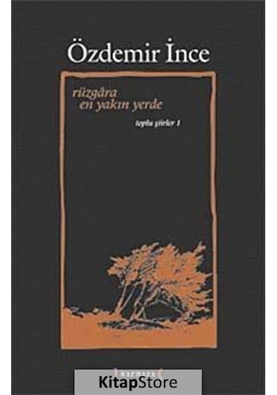 Rüzgara En Yakın Yerde / Toplu Şiirler I / Özdemir İnce