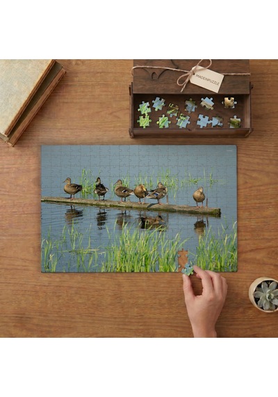 Ağaç Dalının Üstünde Yavru Ördekler Tasarımı 240 Parça Ahşap Puzzle Ahşap Kutuda Mpy40179