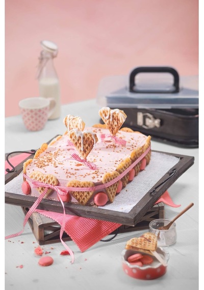 Kaiser Bake & Take Kelepçeli Kapaklı Kek Kalıbı 36x24 Cm Diğer