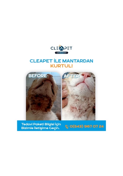 Cleapet Exclusıve Seri Nano Sprey 250 ML