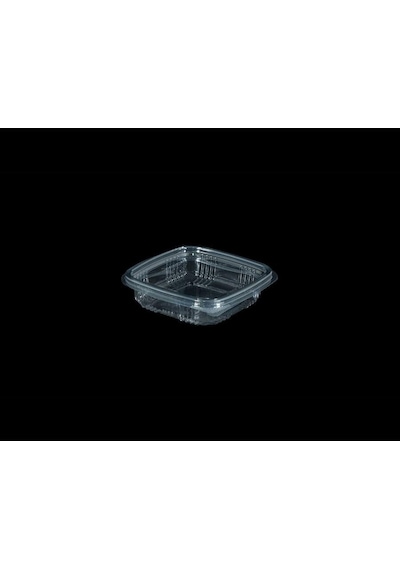 Kullan At Plastik Kilitli Şeffaf Düz Kapaklı Gıda Sakalam Kabı Sızdırmaz Kap 50 x 150 G
