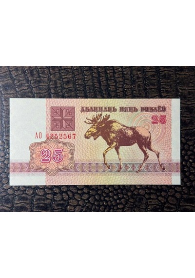 Belarus Beyaz Rusya 25 Rublei 1992 - 25ruble 10/10 - Çil Unc