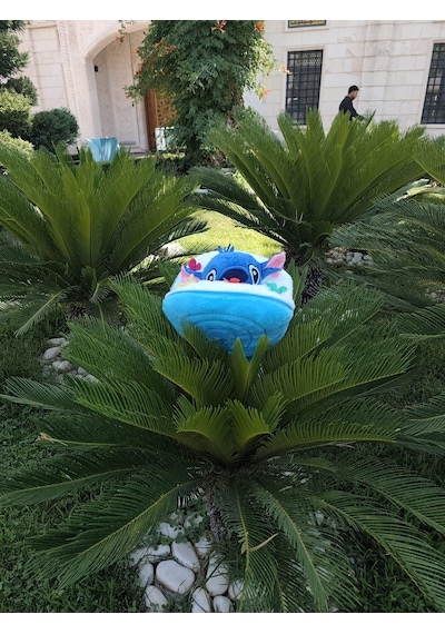 40 Cm Buket Çiçek Şeklinde Hello Kitty Stitch Stiç Peluş Oyuncak Hediye Mavi