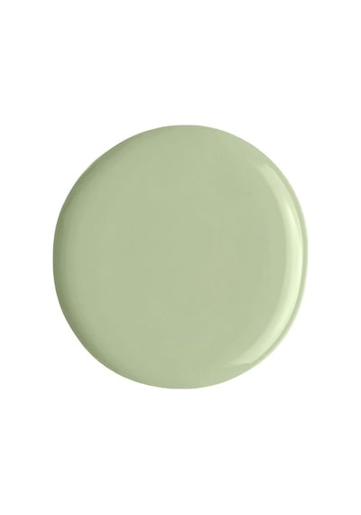 Alix Avien Mint Yeşil Oje 67 Yüksek Pigmentli Uzun Süreli Kalıcılık Hızlı Kuruma Nail Lacquer 67