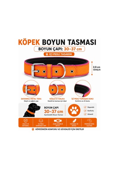 Pedli Köpek Boyun Tasması 30-37 Cm 2 Cm İçi Pedli Metal Tokalı - Turuncu Pembe Çok Renkli