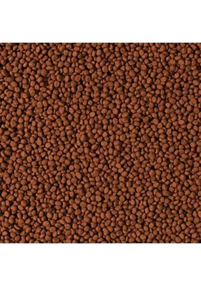 Tropical Cichlid Carnivore Small Pellet 1000 Gram Küçük Granül Ba