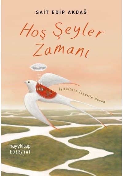 Hoş Şeyler Zamanı - Sait Edip Akdağ - Hayykitap