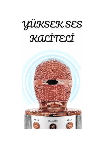 Şarjlı Ve Uzun Pil Ömürlü Karaoke Mikrofon Usb Bellek Destekli Profesyonel Ses Mh-hs1729-6864