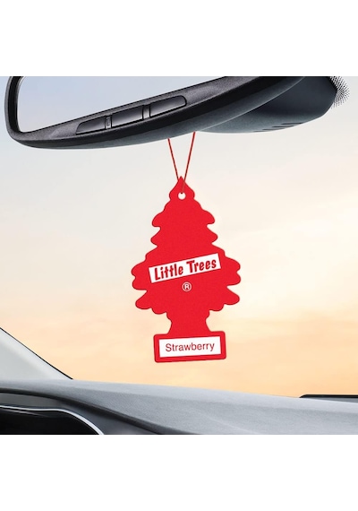 Car Freshner Asma Koku 12'li Çilek