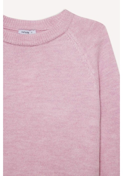 Defacto Regular Fit Bisiklet Yaka Basic Düz Soft Touch Yumuşak Triko Kazak D8678ax26sppn354 Pembe-pn354