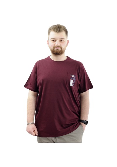 Mode Xl Erkek Büyük Beden T-shirt Pamuklu Baskılı Bisiklet Yaka Tişört Lımıted U24052 Mürdüm Mürdüm