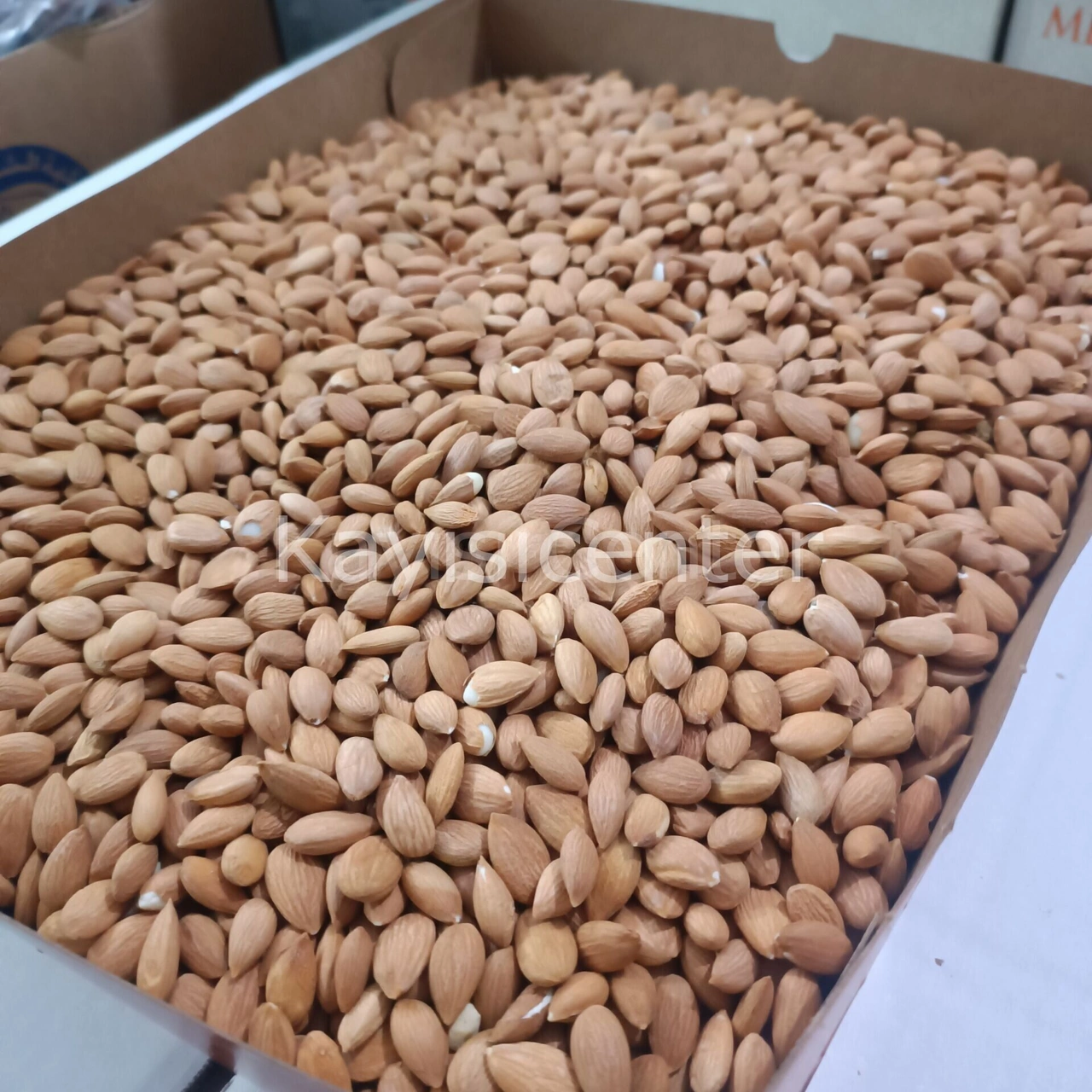 Toptan Kayısı Çekirdeği 10 Kg Diğer