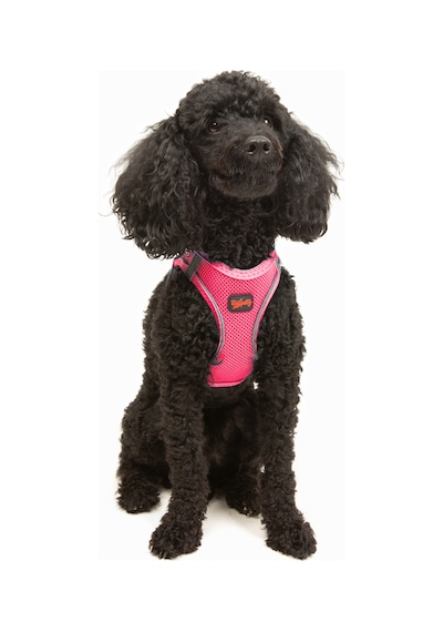 Air-Mesh Küçük ve Orta Irk Kedi Köpek Göğüs Tasması - Yumuşak, Nefes Alabilir, Dayanıklı NEON PEMBE M