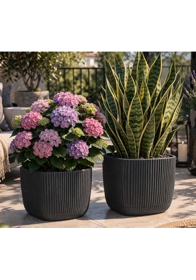 Mercan Kare Saksı Seti 1,8 Litre + 4 Litre, İç Mekan - Dış Mekan 2li Ekonomik Gizli Su Hazneli Plastik Saksı Set A Diğer Mercan Kare Saksı Seti 1,8 Litre + 4 Litre, İç Mekan - Dış Mekan 2li Ekonomik Gizli Su Hazneli Plastik Saksı Set A Diğer