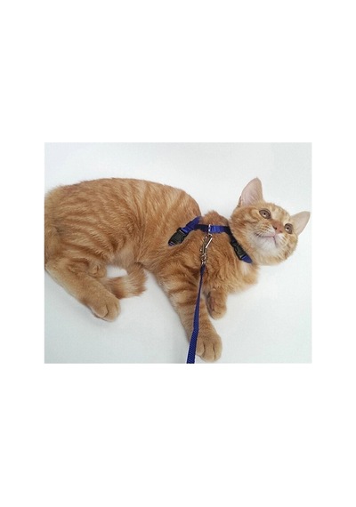 120 Cm Ayarlanabilir Kedi Göğüs Tasması