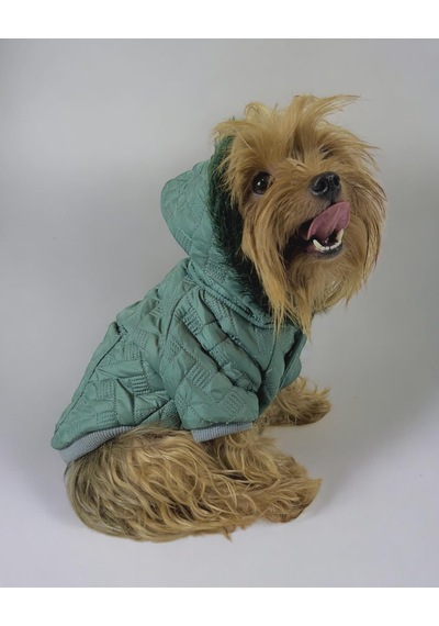 Kemique Green Comfy Köpek Montu Ceketi Köpek Dış Giyim