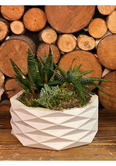 Geometrik Beyaz Dekoratif Saksı Modern Minimal Tasarım Bitki Dahil Değildir