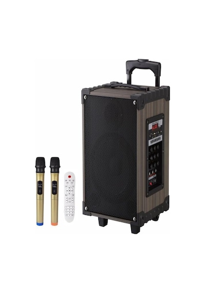 Lt-912 Süper Bass Şarjlı Çift Mikrofonlu Hoparlör Karaoke Sistemi 100w Taşınabilir Parti Box