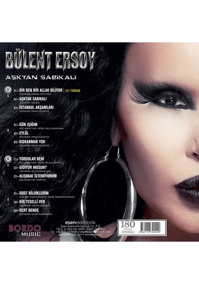 Bülent Ersoy - Aşktan Sabıkalı - Plak