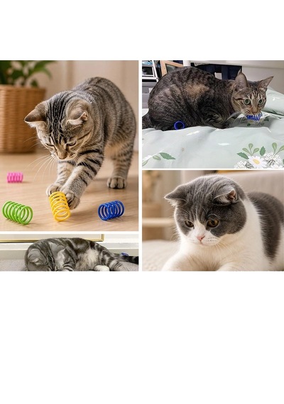 4& 39 Lü Renkli Spiral Yay Kedi Oyuncağı, Esnek Ve Hareketli Eğlenceli Kedi Oyun Seti 5580