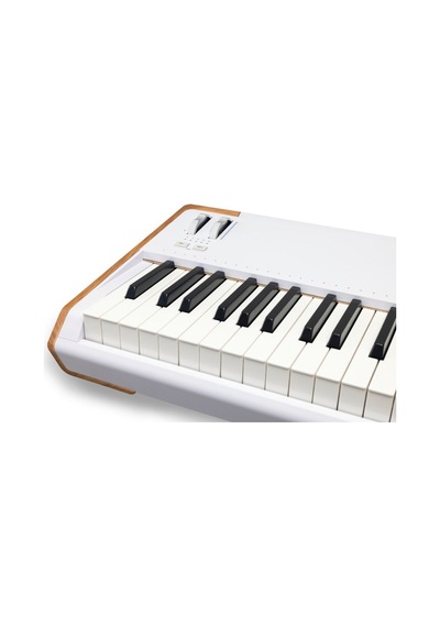 Arturia Astrolab 88