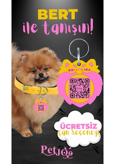 Petjoo 13.Bert Pembe-Sarı Qr'lı Köpek Künyesi