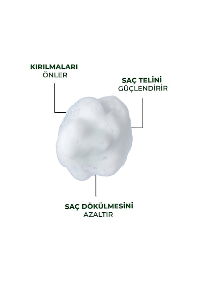 Dermoend Biotin Şampuan Ve Tarak