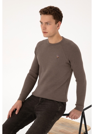 U.S. Polo Assn. Erkek Regular Fit Bisiklet Yaka Vizon Kazak 50314983-VR052