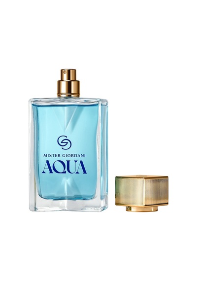 Giordani Gold Mister Giordani Aqua Eau De Parfum Diğer