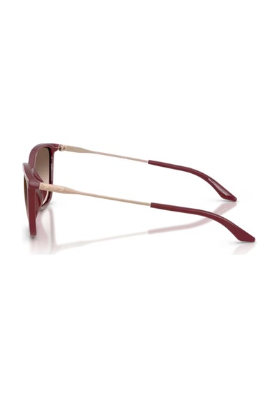 Armani Exchange Güneş Gözlüğü Ax4171su 55 83873b Bordo
