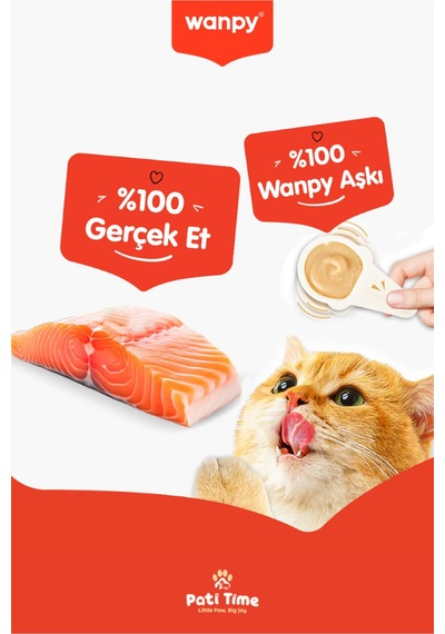 2li Set - Somonlu & Tavuklu Tahılsız Kaşıklı Kedi Ödül Kreması Kedi Ödülü 20 X 16gr