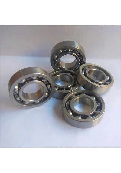 16002 RULMAN (5 ADET)