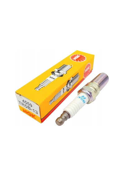 Ngk Ford Escort Clx Buji Takım 1.6 Enjeksiyonlu Lpg Uyumlu 1995-2001 Ngk Japan