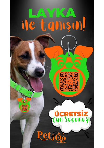Petjoo 22.Layka Turuncu-Yeşil Qr'lı Köpek Künyesi