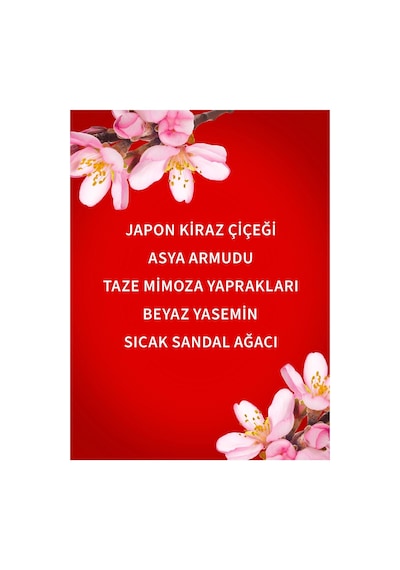 Bath & Body Works Japanese Cherry Blossom Nemlendirici Duş Jeli Diğer