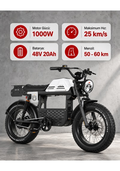 Ape Ryder Gibbon Ultra Sport Elektikli Bisiklet 1500w Beyaz