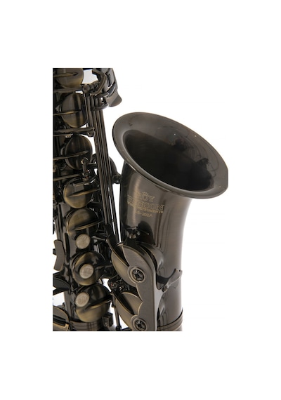 Roy Benson As-202a Alto Saksafon Antik Eskitilmiş Bronz Vintage Tarz