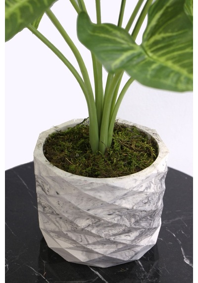 Yapay Çiçek Deposu Yapay Çiçek Beton Saksıda10 Dallı Lüx Difenbahya Bitki 42cm
