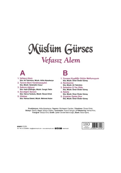 Müslüm Gürses - Vefasız Alem Plak
