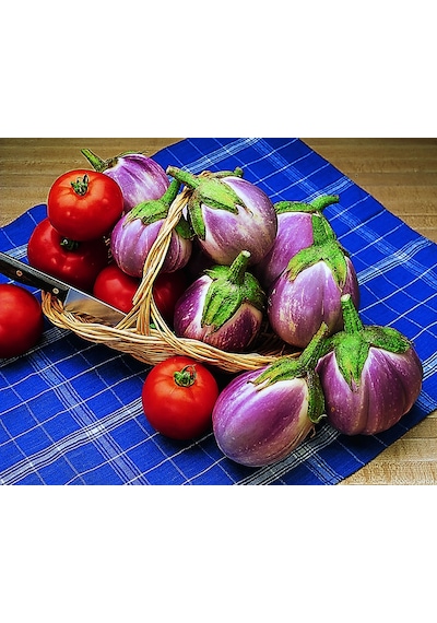 10+Italyan Rosa Bianca Alacalı Patlıcan Tohumu