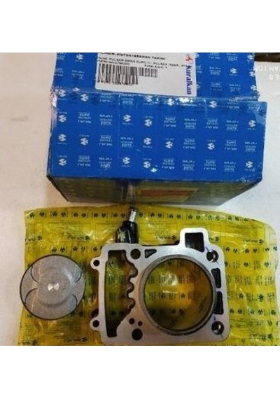 Bajaj Pulsar Ns 200 Silindir+piston+segman Takımı